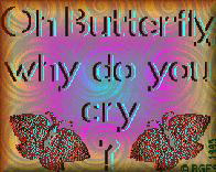 ComPoetry: th_ButterflyCryButtonized-s1