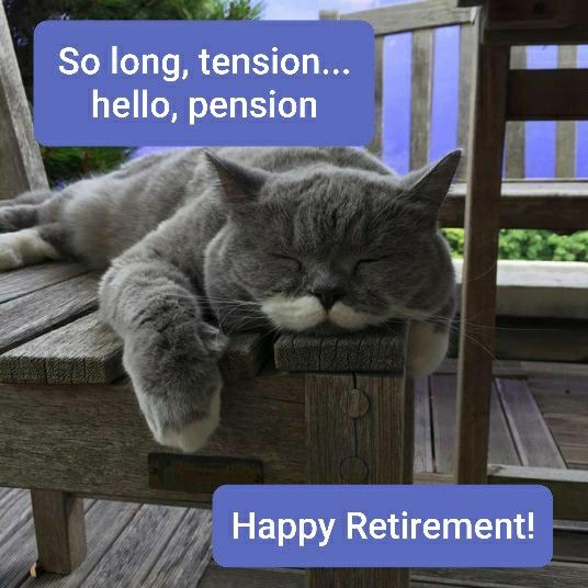 ImgX%2FPet%2FCats%2FHappy Retirement Cat