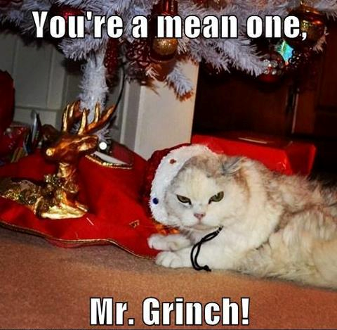 ImgX%2FPet%2FChristmas%2FCat Christmas You are a mean one Mr Grinch