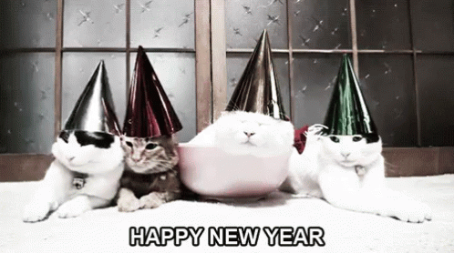 ImgX%2FPet%2FNewYear%2FFour Cats with silver hats animation   Happy New Year