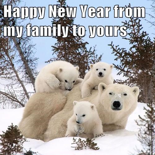 ImgX%2FPet%2FNewYear%2FPolar Bear mother and 3 kids   Happy New Year from my family to yours %5Btext%5D