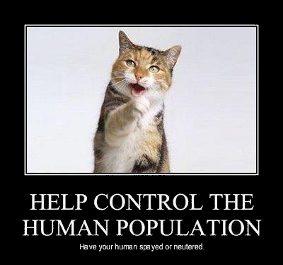 ImgX%2FPet%2FOverPopulation%2FCat says Help control human population