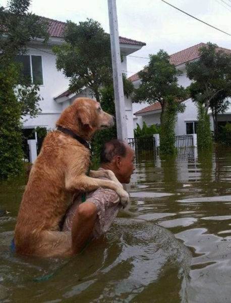 Man carrying dog on his back away from flooded neighborhood 