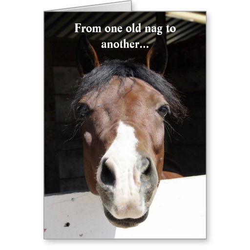 Barn Horse old nag   Happy Birthday card   text