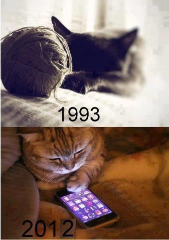The influence of high tech on cats