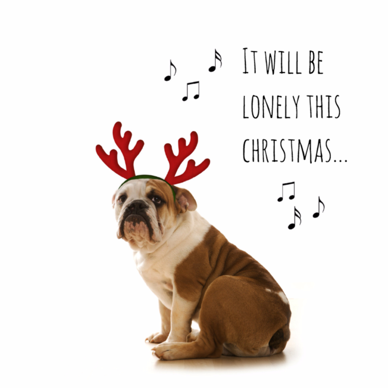 Bulldog with antlers   It will be lonely this Christmas