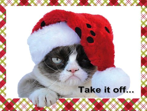 Cat Take off Christmas hat