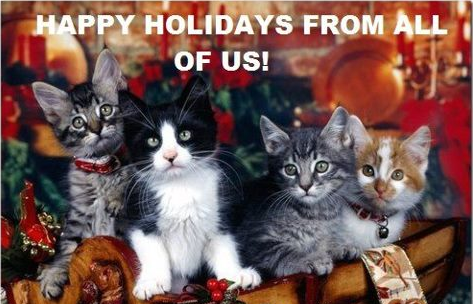 Cats Happy Holidays from all of us