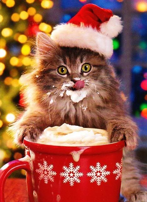 Christmas Cat drinking cream from cup