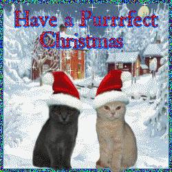 Two cats   Have a purrfect Christmas animation