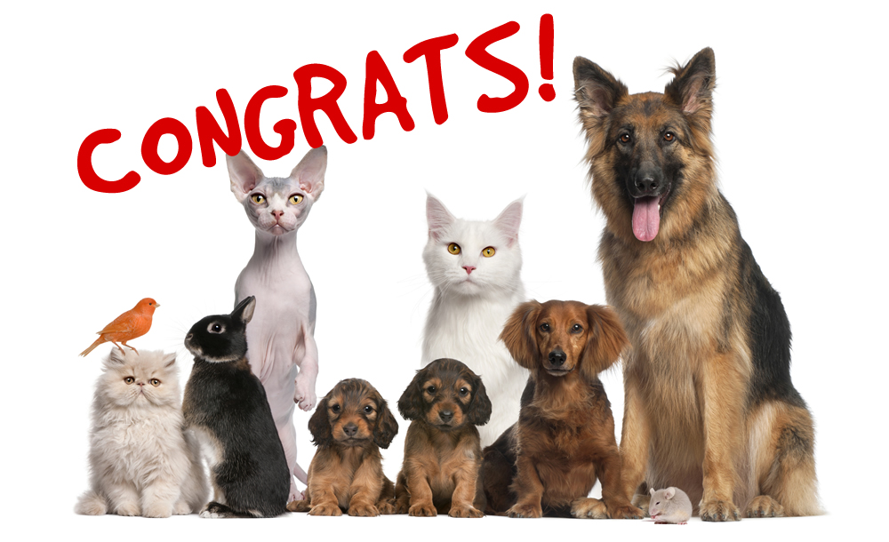 Pets say congratulations