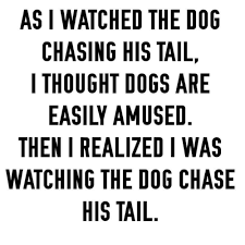 Text   I watched dog chase his tail