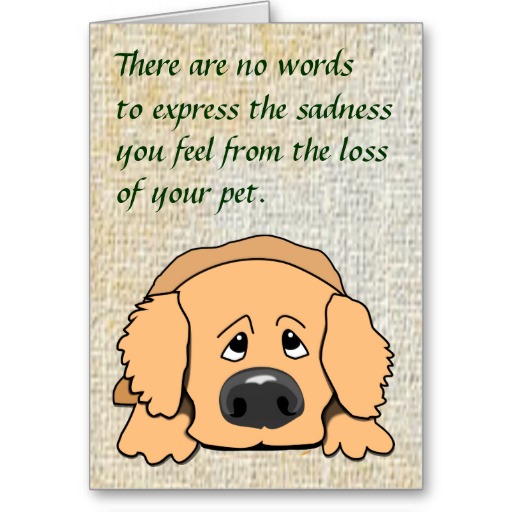 Sad dog cartoon    Pet sympathy card for loss of pet