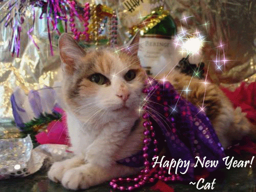 Cat   Happy New Year   sparkles animation