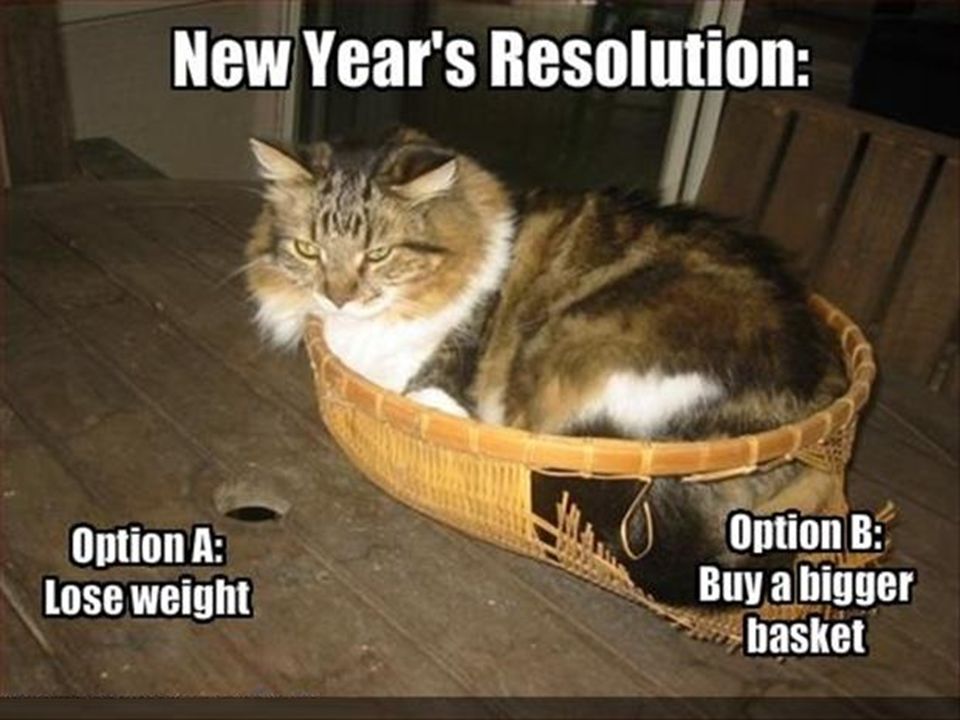 Cat   New Years Resolution text