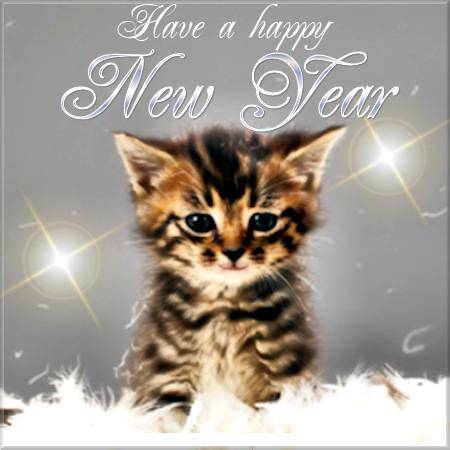 Kitten   Have a Happy New Year