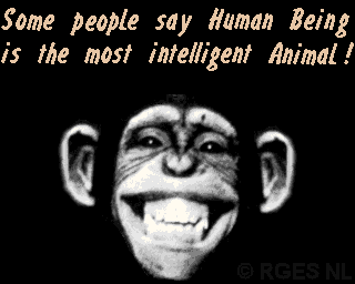 Chimp IQ © RGES