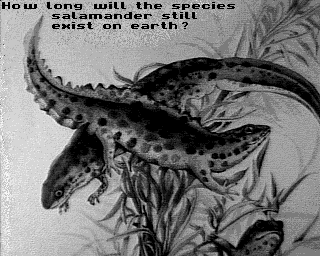 Salamander 1  RGES