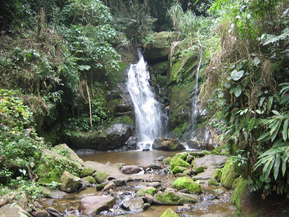 Waterfall in rainforest