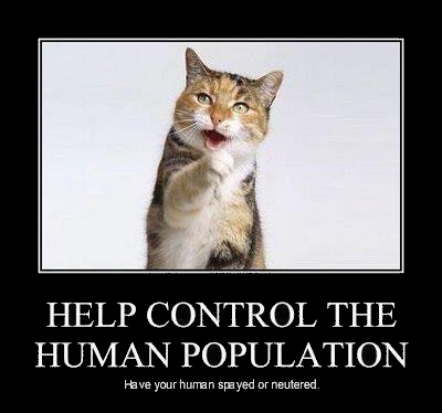 Cat says Help control human population